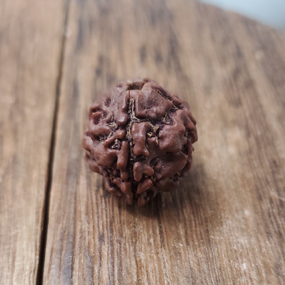 P274 Rudrucksha Walnut Wooden Bead Charm
